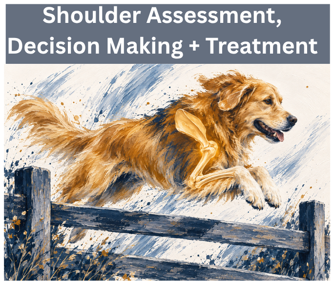 Canine Shoulder Assessment, Clinical Decision-Making, and Treatment Strategies