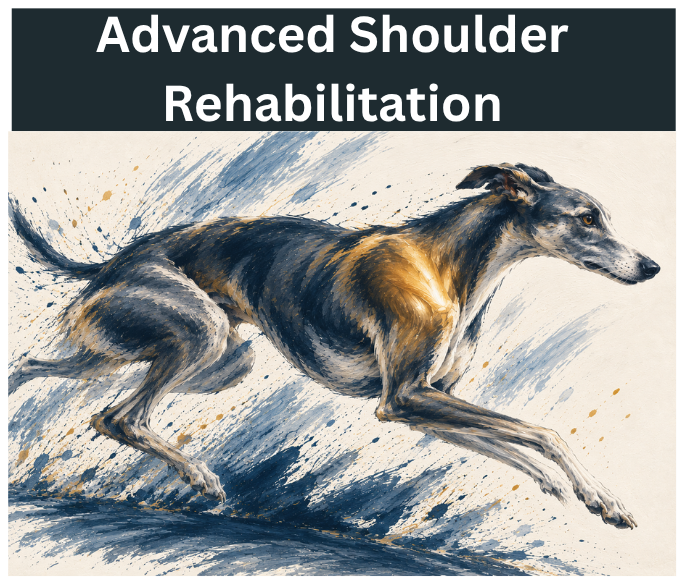 Synergistic and Advanced Approaches to Canine Shoulder Rehabilitation